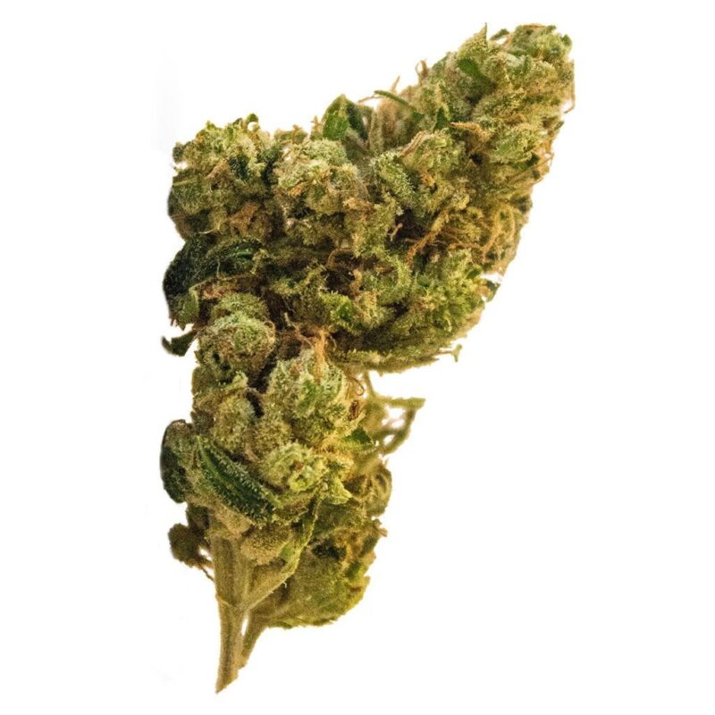 BC God Bud 28g <br> Indica <br> 17.4%