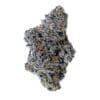 Strains LTD. RNTZ