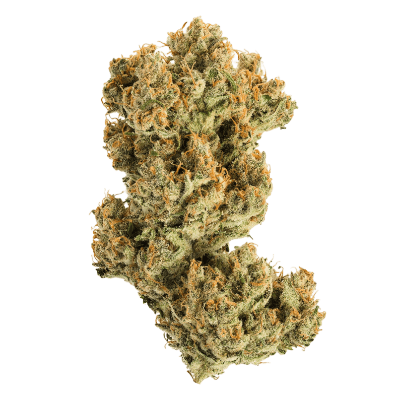 Acapulco Gold 3.5g <br> Sativa <br> 22.5%