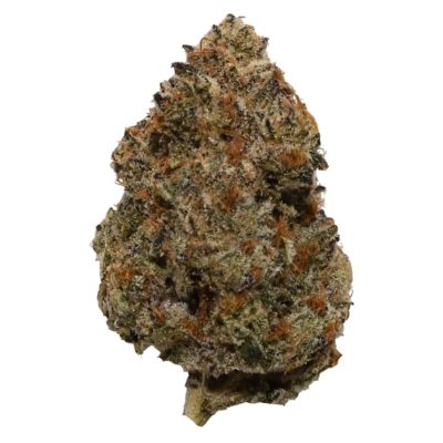Blueberry Fuego 3.5g <br> Indica <br> 24.1%