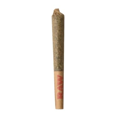 Blueberry Fuego Blueberry Fuego