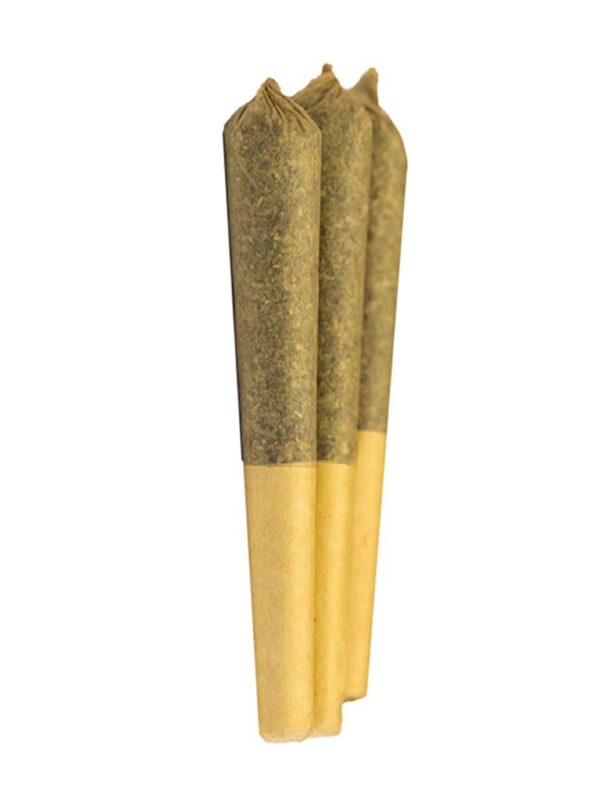 GLTO pre rolls
