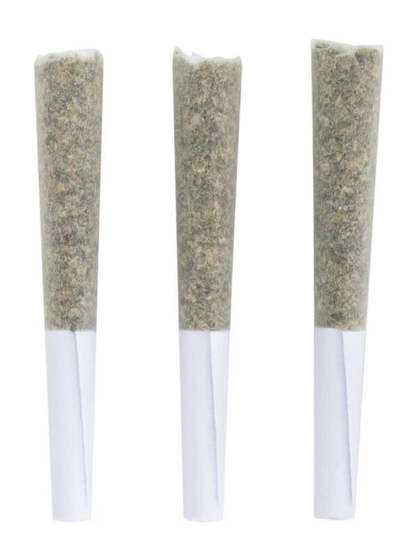 Bubble Hash Infused Pre-Rolls 3 Pack