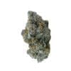 Strains Hectane