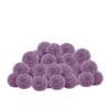 Marionberry Lemonade CBG