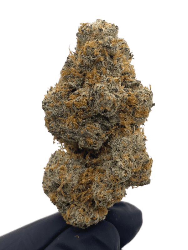 Gorilla Breath