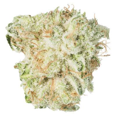 Terp n' Tine 28g <br>Sativa <br>28.9%