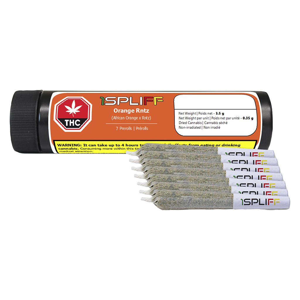 Orange Rntz Pre-Rolls 7 Pack <br>Hybrid <br>28.0% | 3.75% Terps - Image 4