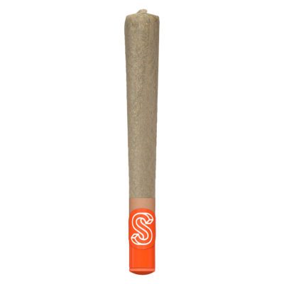 The New New Pre-Roll