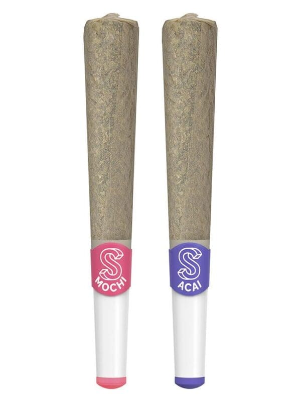 Ceramic Tip Mochi & Acai