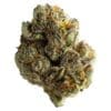 Lakeside Kush