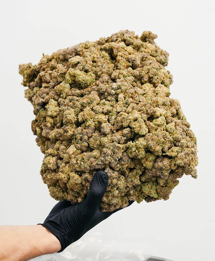 fresh-ounce-sale-big-bag-oz-for-sale-cannabis-online-min