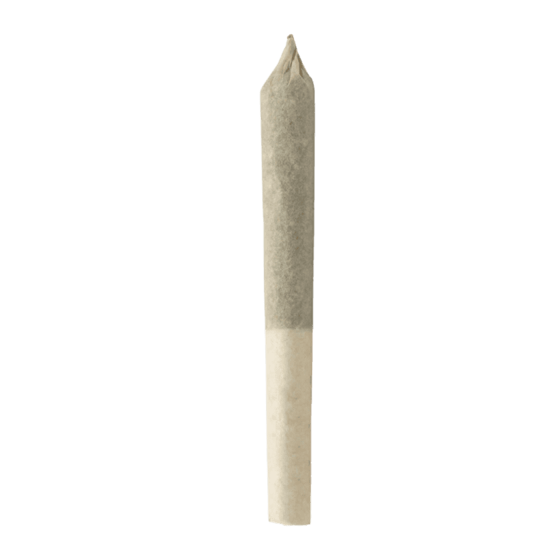 BC Organic White Rainbow Pre-Rolls 5 Pack <br>Indica <br>27.9%