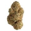 Secret Strains