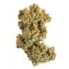 Acapulco Gold