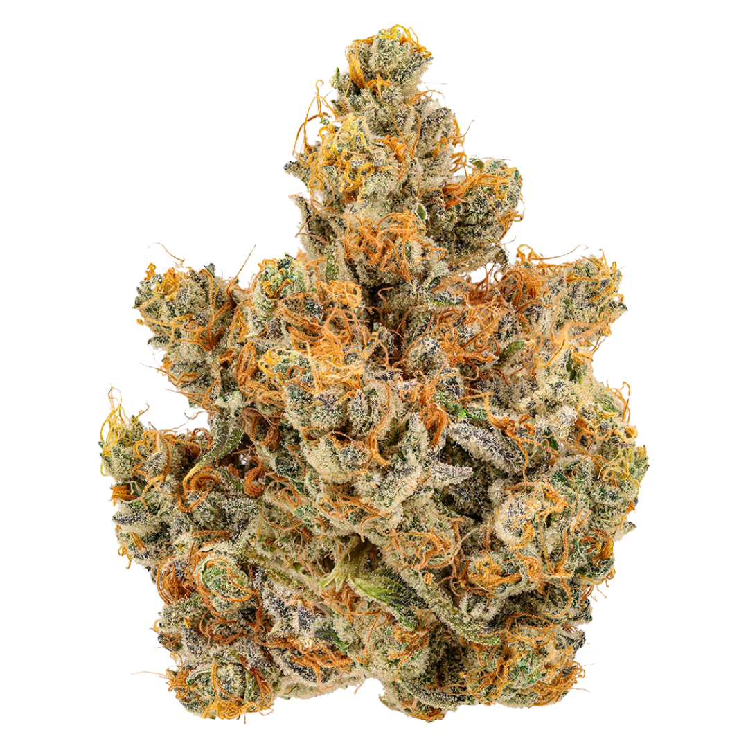 Buy Large Format Weed | Big Bags | Wholesale Cannabis Canada