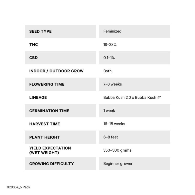 Bubba Kush Seeds (Feminized) Seeds <br>5 Pack <br>Indica