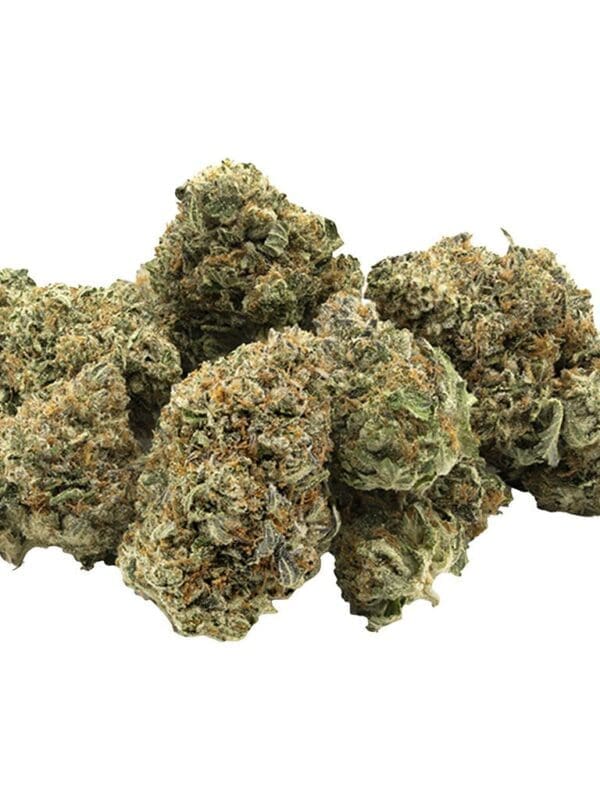 Comatose 28g 1964