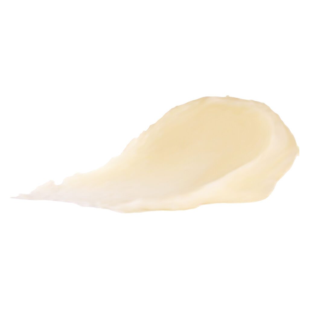 CBD Body Butter Flowers & Fir <br>100g - Image 2