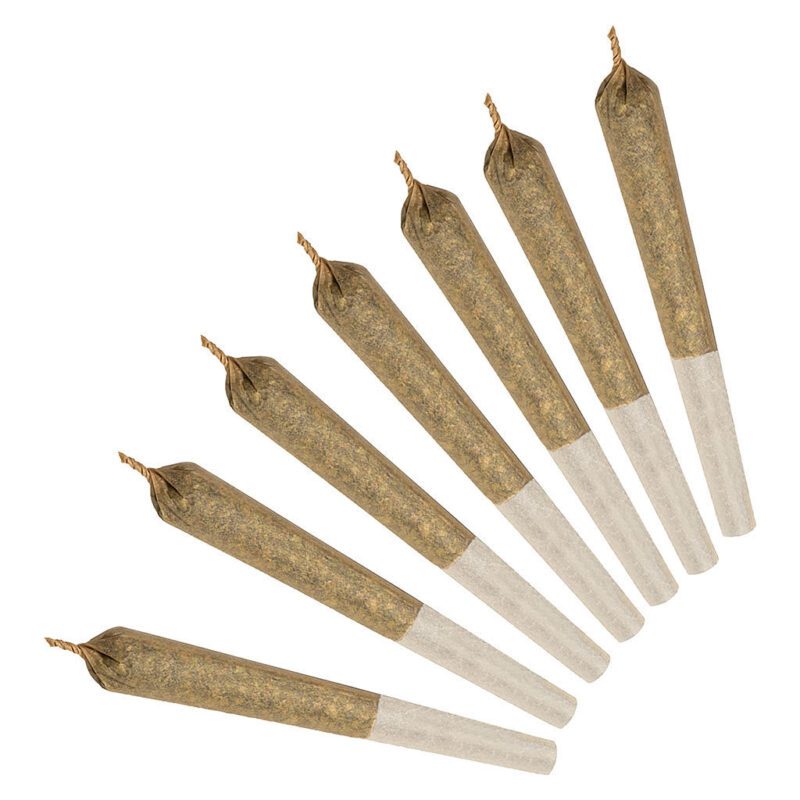 Daily's Sativa