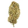 Jack Herer