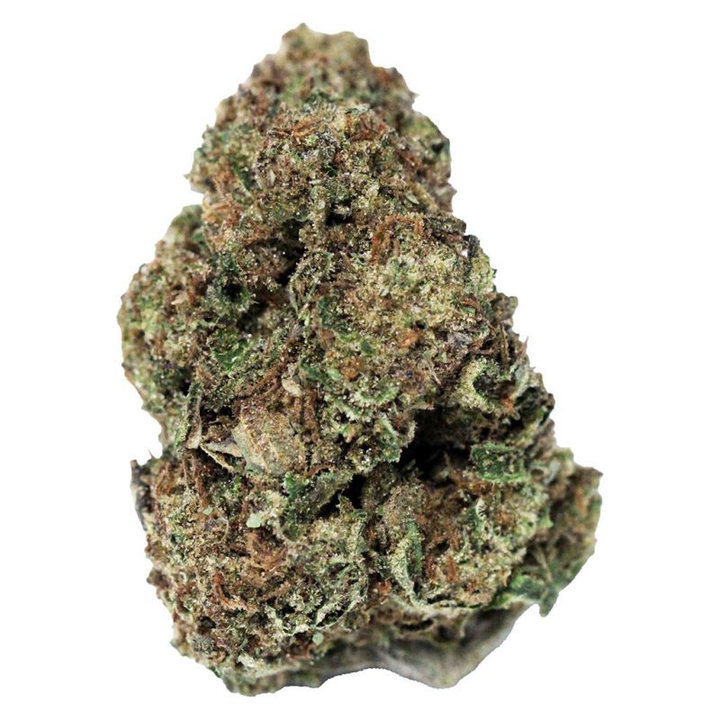 Northern Lights 14g