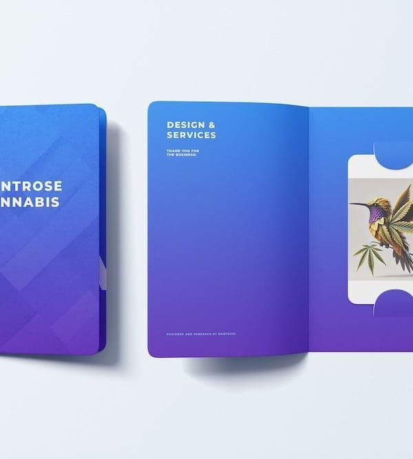 Design, Services, and Updates