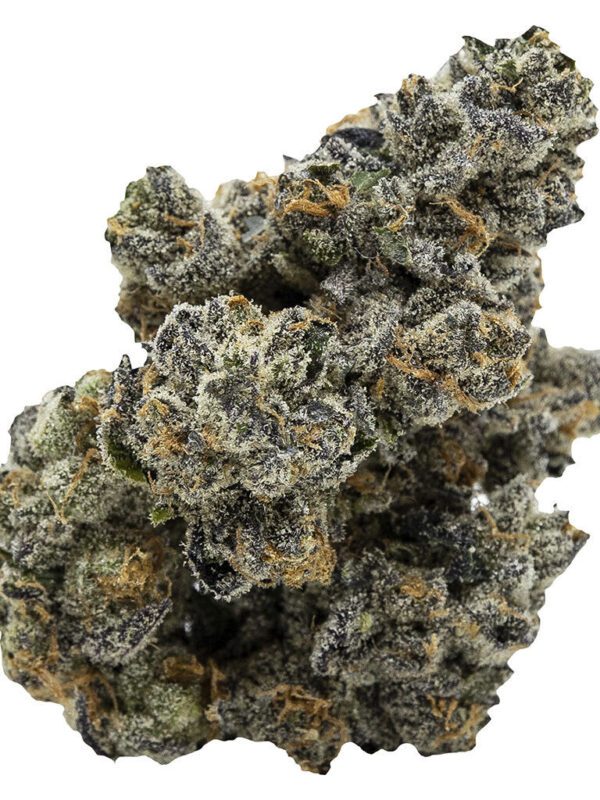 Pistol and Paris Blackberry Breath 3.5g Montrose Cannabis