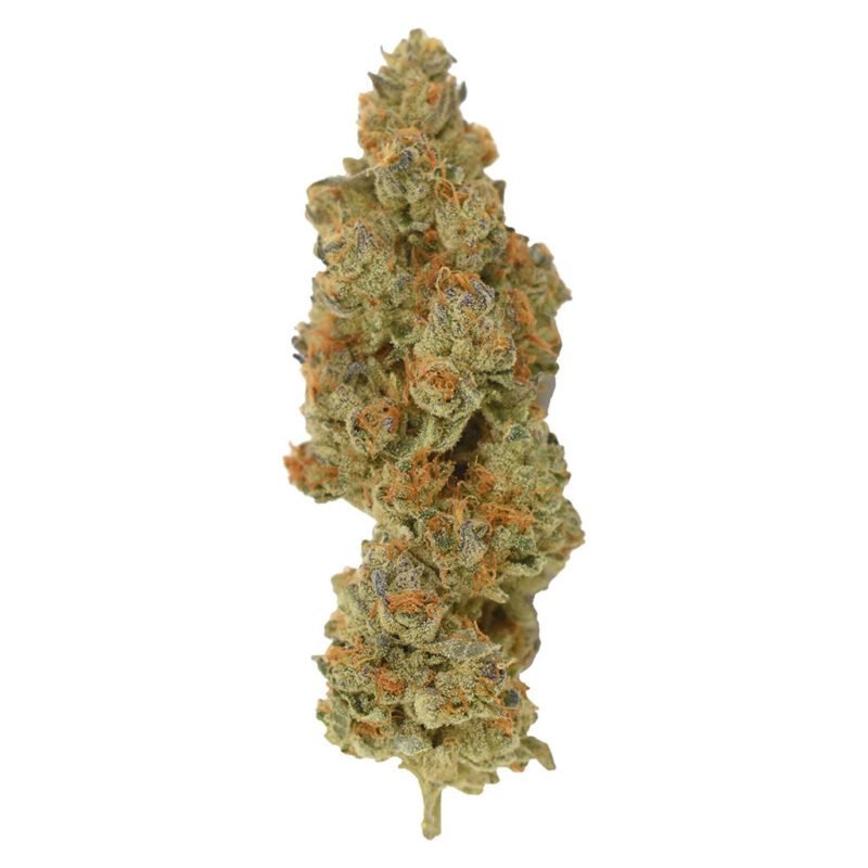 Rocket Factory Facetz 7g Montose Cannabis