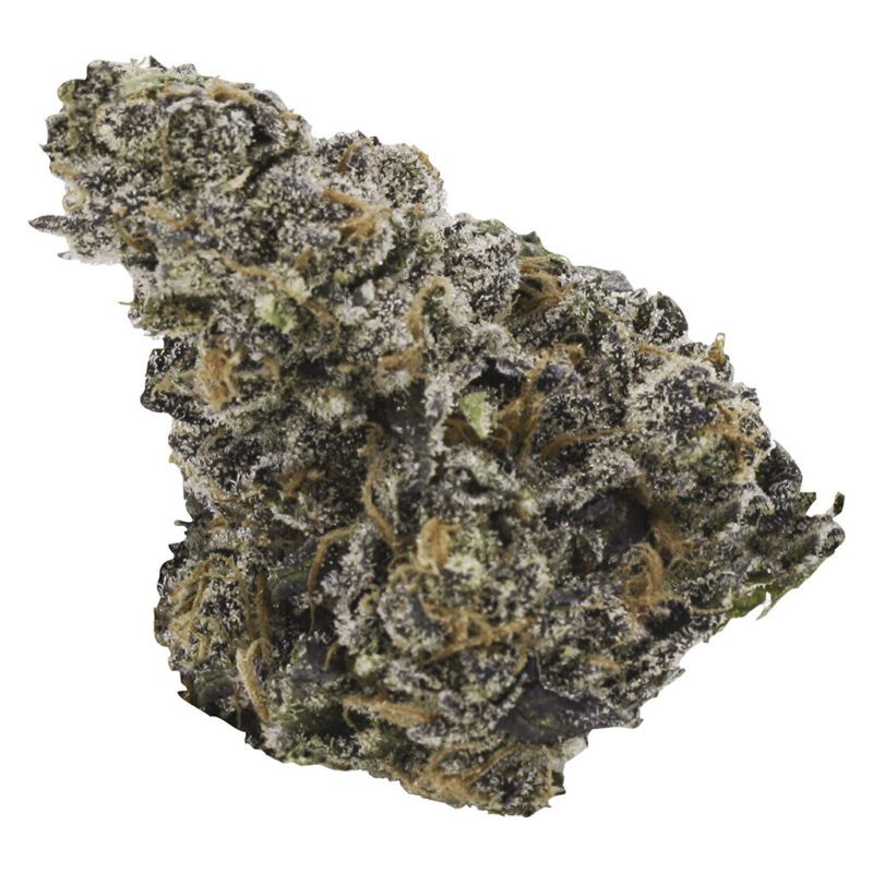 EastCann Gastro Pop 14g Montrose Cannabis