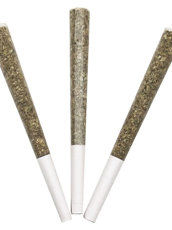 Royal Ace #5: Purple Zombie Pre-Rolls 3 Pack