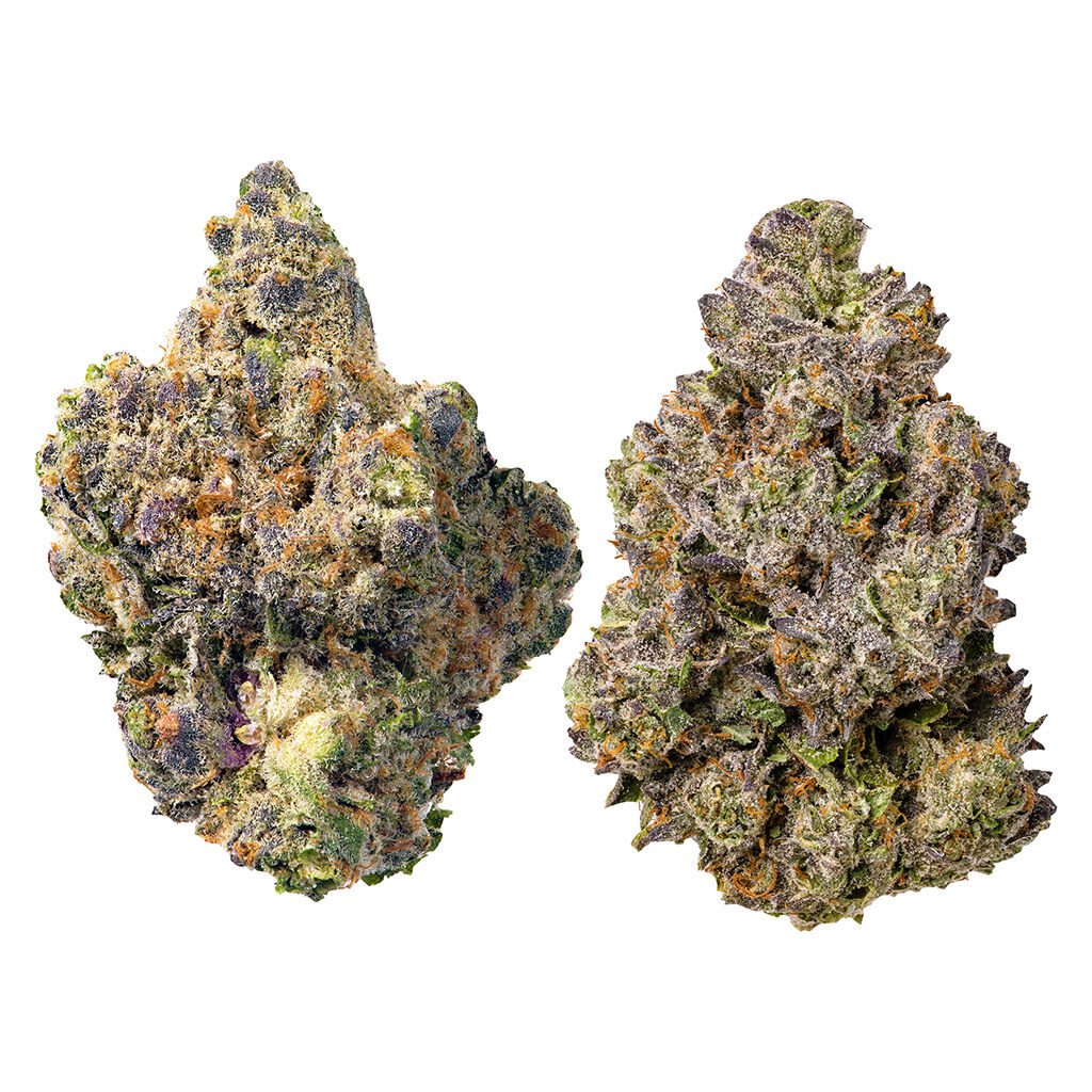 Cookies Double Stuffed Variety Pack 14g Montrose Cannabis