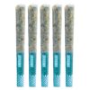 DEBUNK Darts Venom OG Crushed Diamond Infused 5 Pack Montrose Cannabis