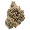Coterie Blue Ztarburzt 7g Montrose Cannabis