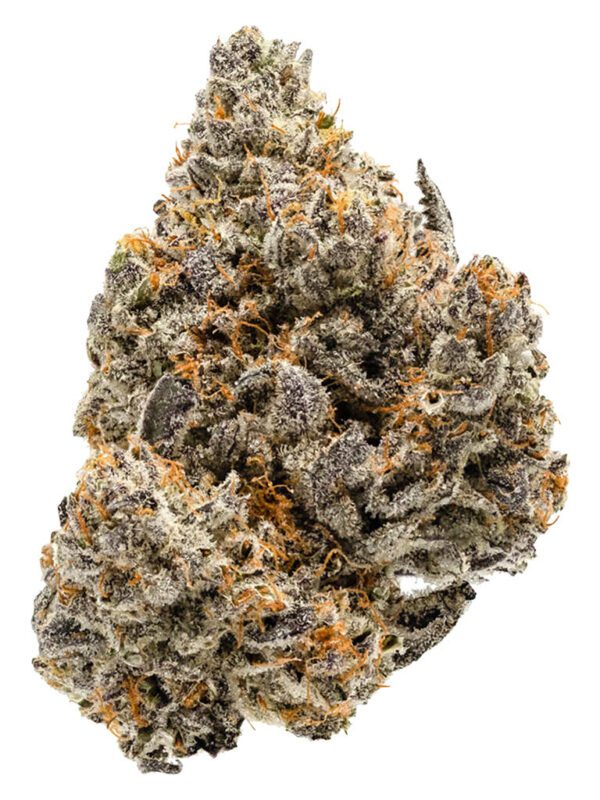 Coterie Blue Ztarburzt 7g Montrose Cannabis