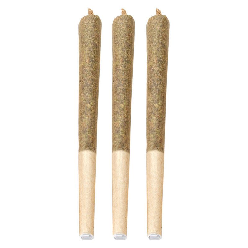 Bud Lafleur Lava Cake 3 Pack Montrose Cannabis