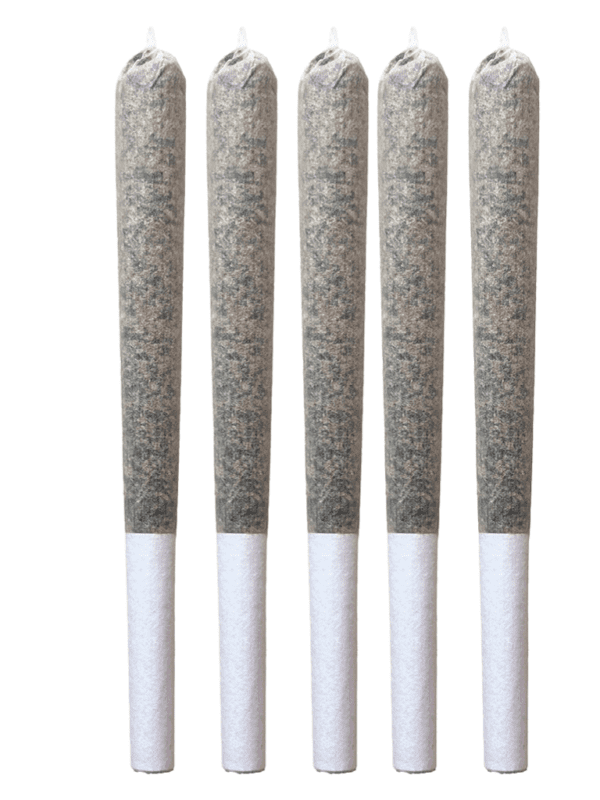 Be Humble. Devil Driver 5 Pack Prerolls Montrose Cannabis