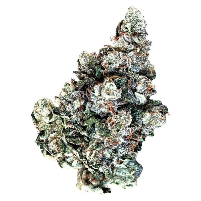 MTL cannabis 91 ox 3.5g montrose cannabis