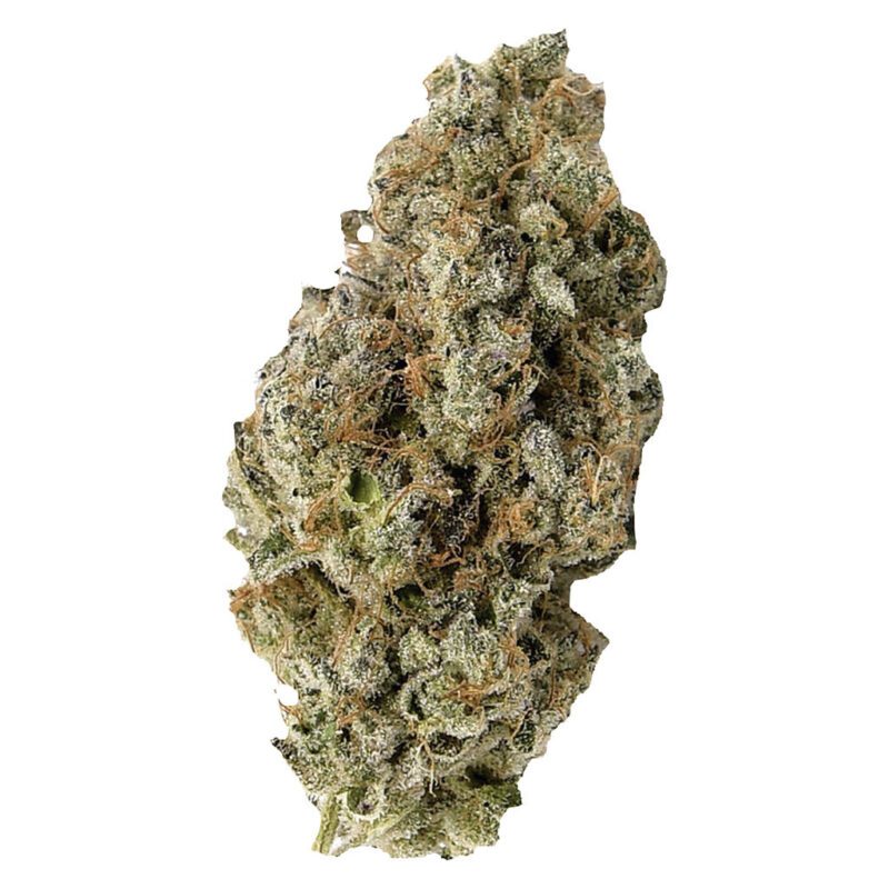 Strains Limited Better then your GP 7g Hybrid Montrose Cannabis
