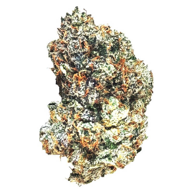 mtl gas n up 3.5g montrose cannabis