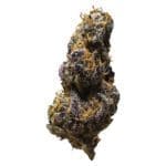black cheese 7g indica 3rd coast genetics
