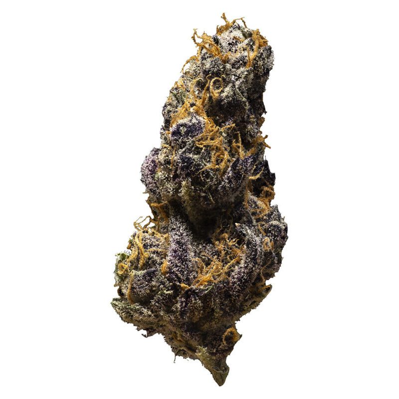 black cheese 7g indica 3rd coast genetics
