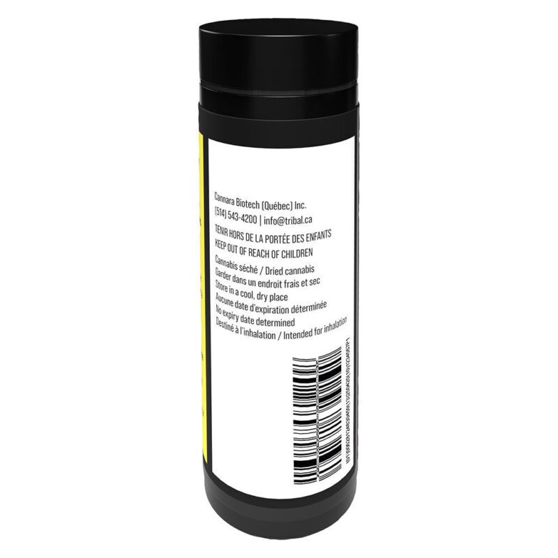 Porto Leche Pre-Rolls 5 Pack <br>Hybrid <br>30.8% | 2.80% Terps - Image 3