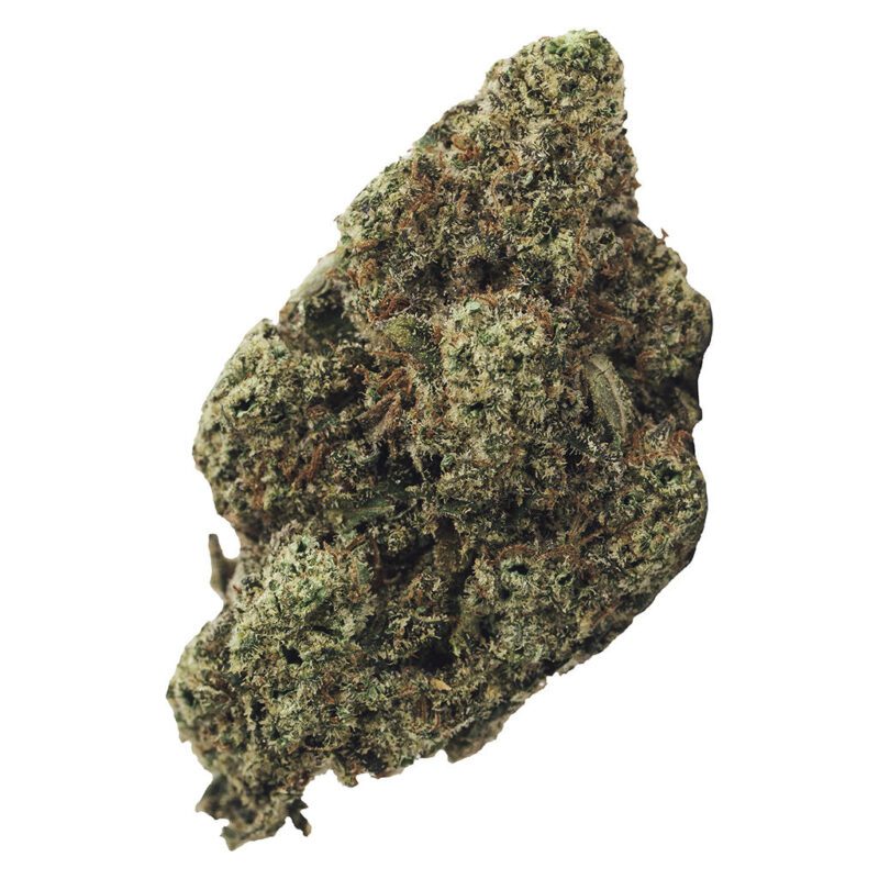 Munyunz 3.5g by BOLD