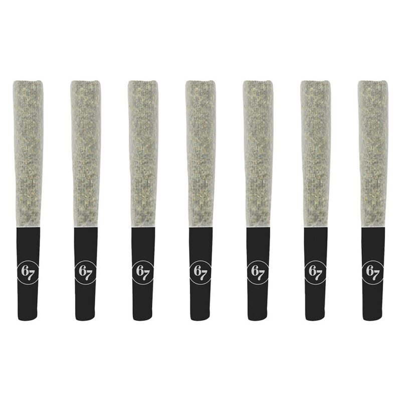 Gas Face Pre-Rolls 7 Pack