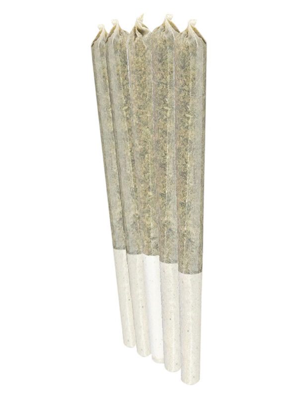 Watermelon Gushers Pre-Rolls 10 Pack