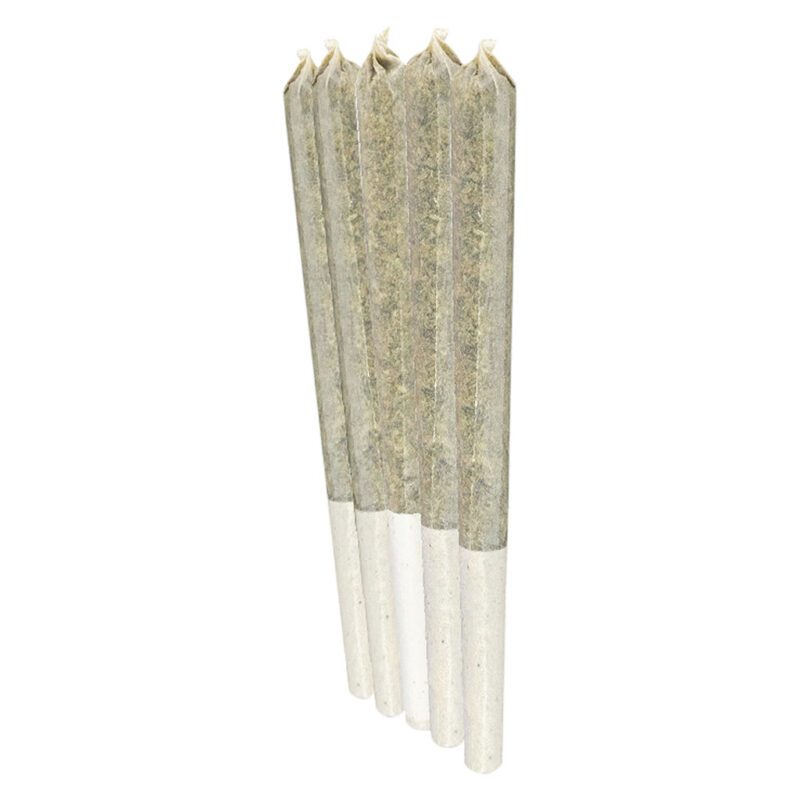 Watermelon Gushers Pre-Rolls 10 Pack