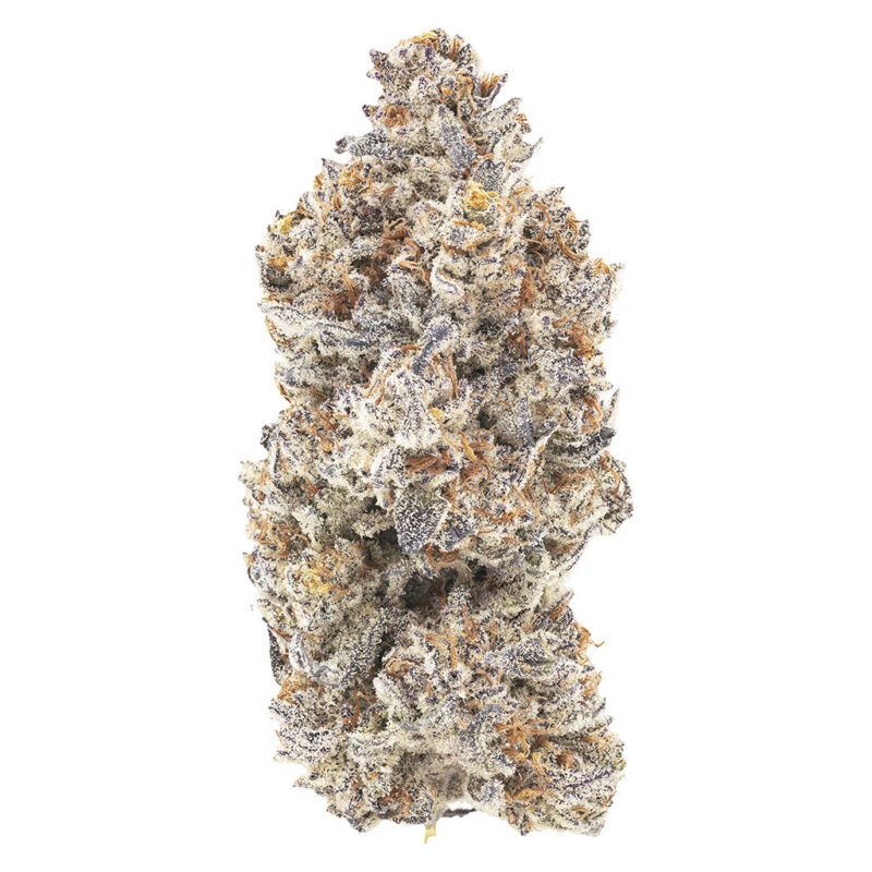 M'mosa 7g by 1964