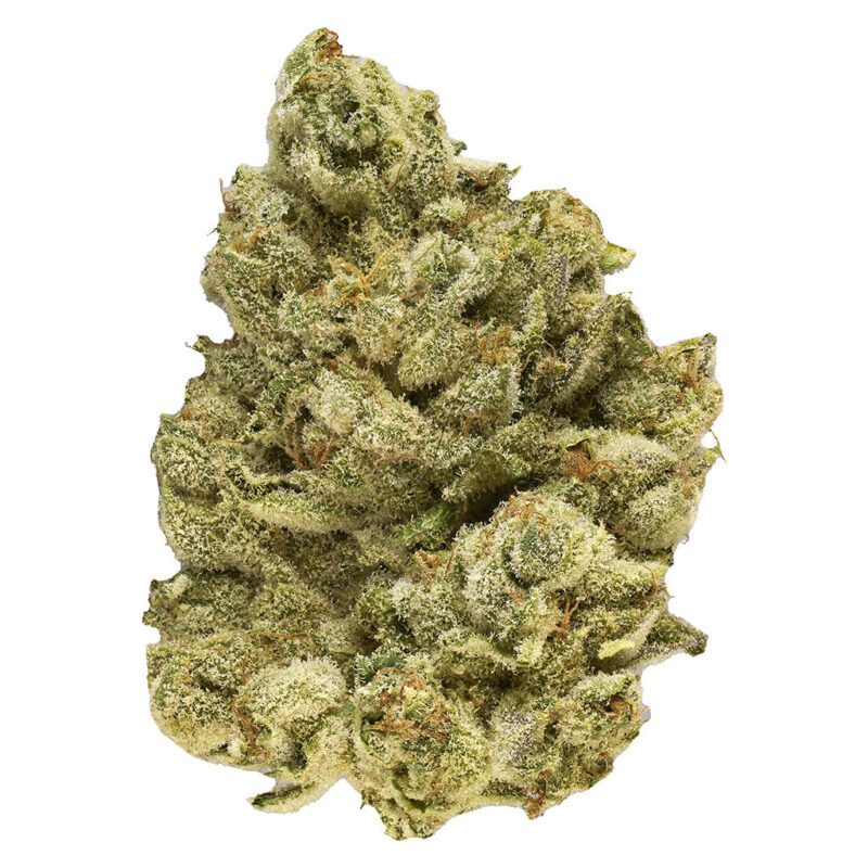 Emergenz 14g