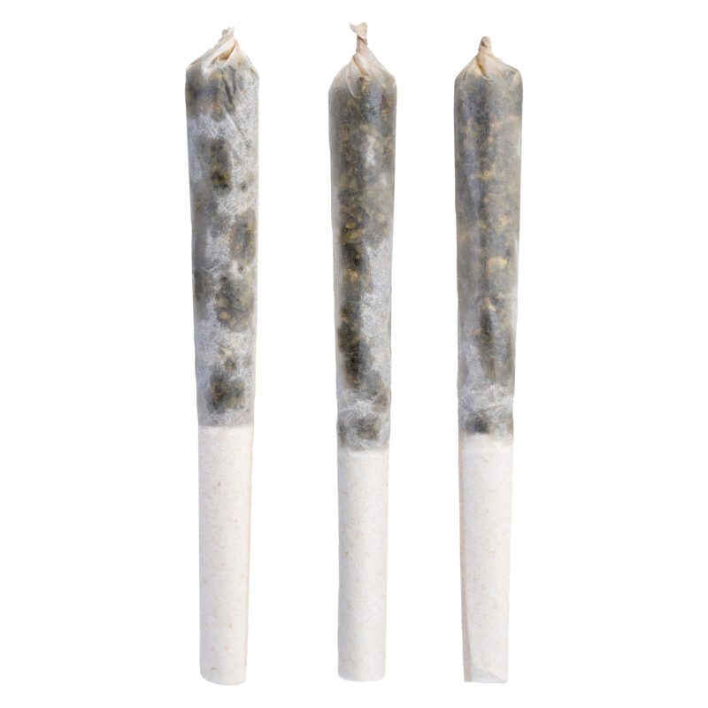 Electric Circus Infused Pre-Rolls 3 Pack
